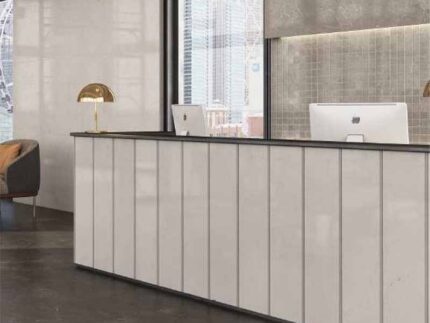 LITHOS GRIS 60X120