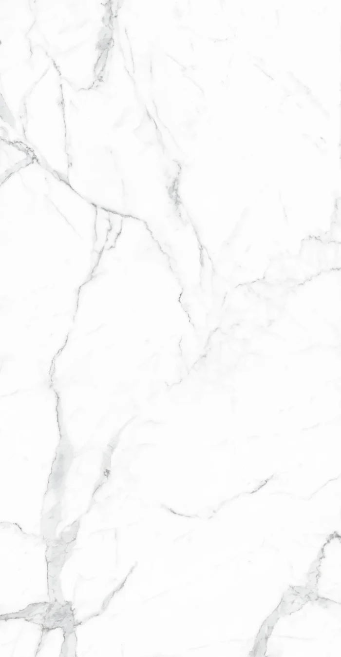 STATUARIO SILVER PULIDO 120X240 (CJX2.88) - Imagen 2