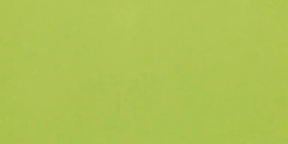 VERDE BRILLO 10X20 (CJX1.00) VERDE BRILLO 10X20 (CJX1.00) - Imagen 2