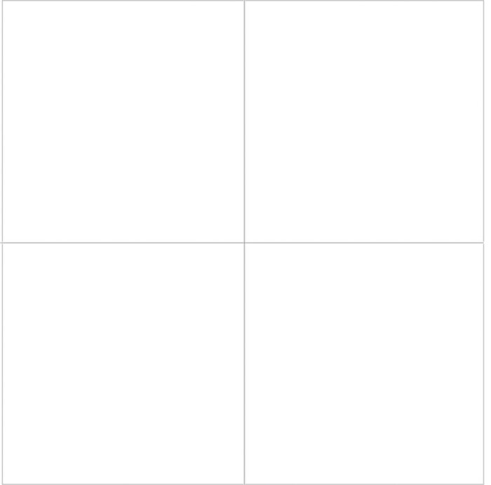 BLANCO BRILLO DLSJ6600 60X60 (CJX1.8) - Imagen 2
