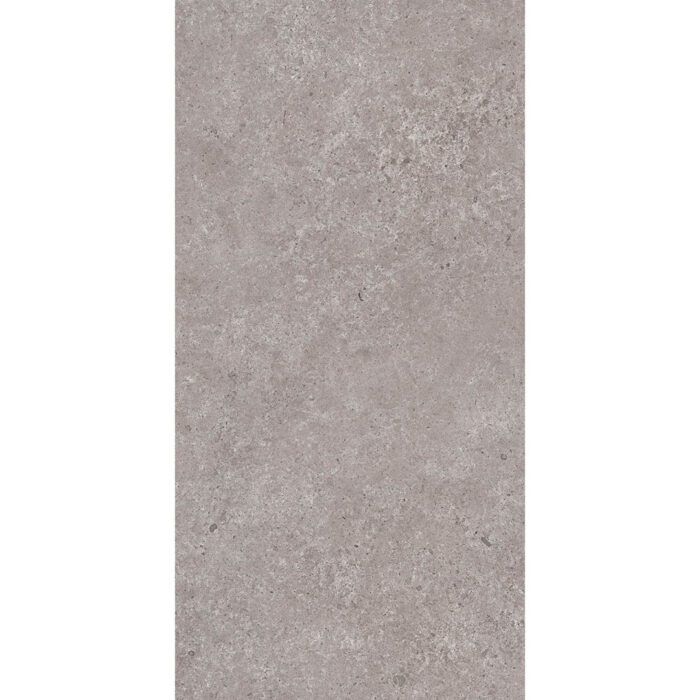 LITHIC ANTHECITE TECHNO GHR MATE 60X120 - Imagen 2