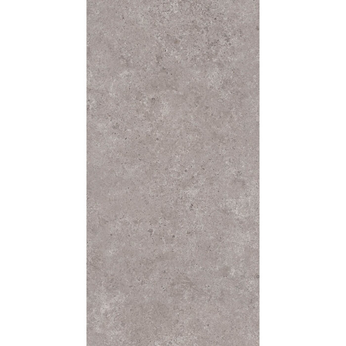 LITHIC ANTHECITE TECHNO GHR MATE 60X120 - Imagen 4
