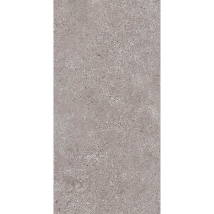 LITHIC ANTHECITE TECHNO GHR MATE 60X120 - Imagen 3