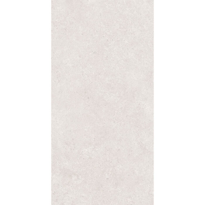 LITHIC SILVER TECHNO GHR MATE 60X120 - Imagen 5