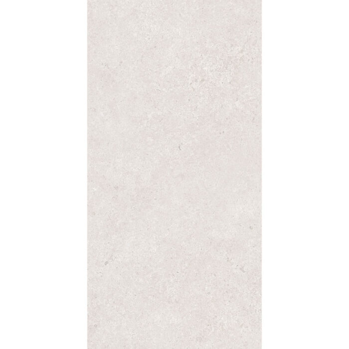 LITHIC SILVER TECHNO GHR MATE 60X120 - Imagen 2