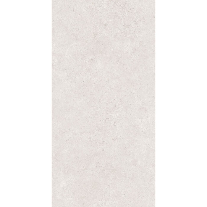 LITHIC SILVER TECHNO GHR MATE 60X120 - Imagen 4