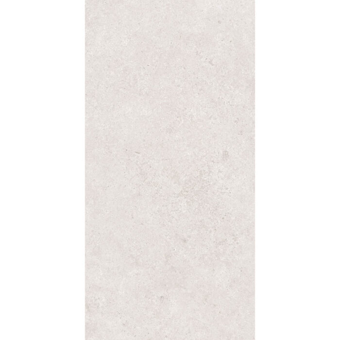 LITHIC SILVER TECHNO GHR MATE 60X120 - Imagen 3